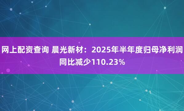 网上配资查询 晨光新材：2025年半年度归母净利润同比减少110.23%