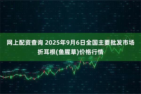 网上配资查询 2025年9月6日全国主要批发市场折耳根(鱼腥草)价格行情